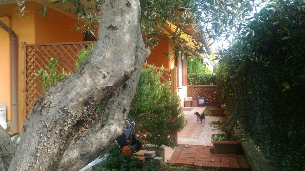 Nido Di Dafne Villa Provaglio d'Iseo Exteriör bild